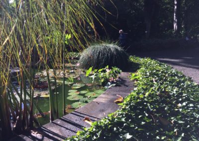 Jardinero en Málaga Datura