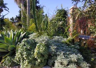 Diseño de Jardines Málaga