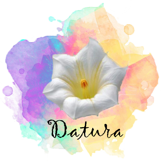 Datura